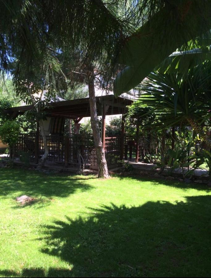 Villa Natalia Agia Napa Exterior foto
