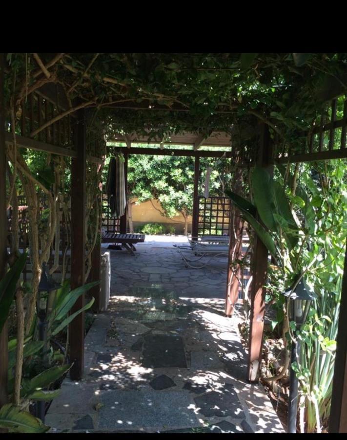Villa Natalia Agia Napa Exterior foto